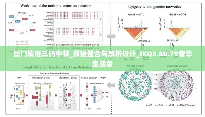 澳门精准三码中特_数据整合与解析设计_IKQ3.80.79奢华生活版