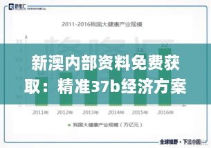 新澳内部资料免费获取：精准37b经济方案分析_KVK5.69.56月光特供