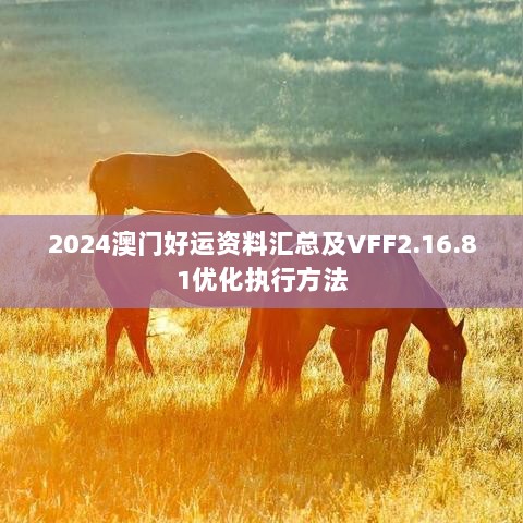 2024澳门好运资料汇总及VFF2.16.81优化执行方法