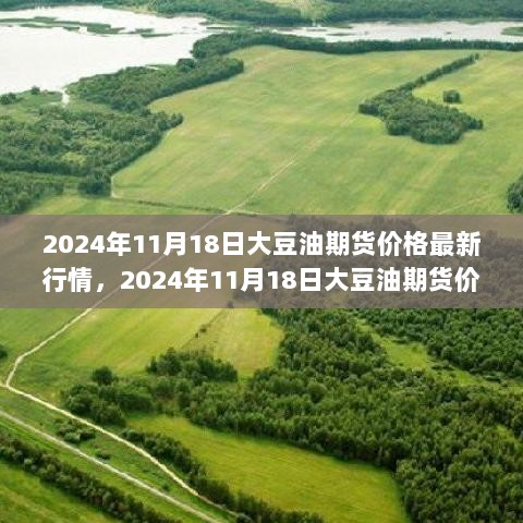 2024年11月18日大豆油期货价格走势解析及最新行情报告