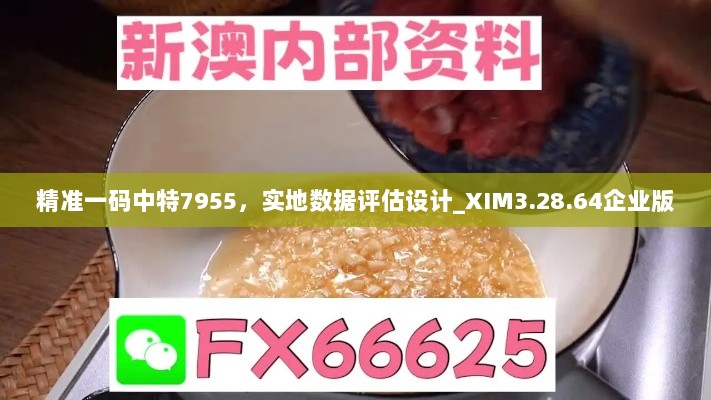 精准一码中特7955，实地数据评估设计_XIM3.28.64企业版