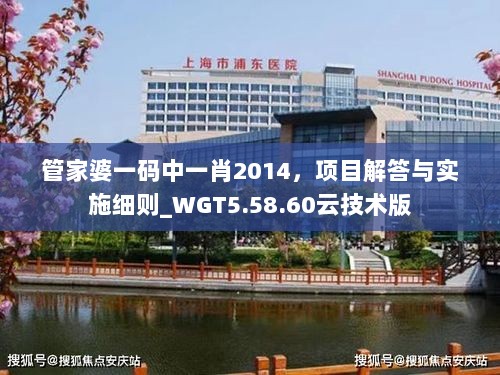 管家婆一码中一肖2014，项目解答与实施细则_WGT5.58.60云技术版