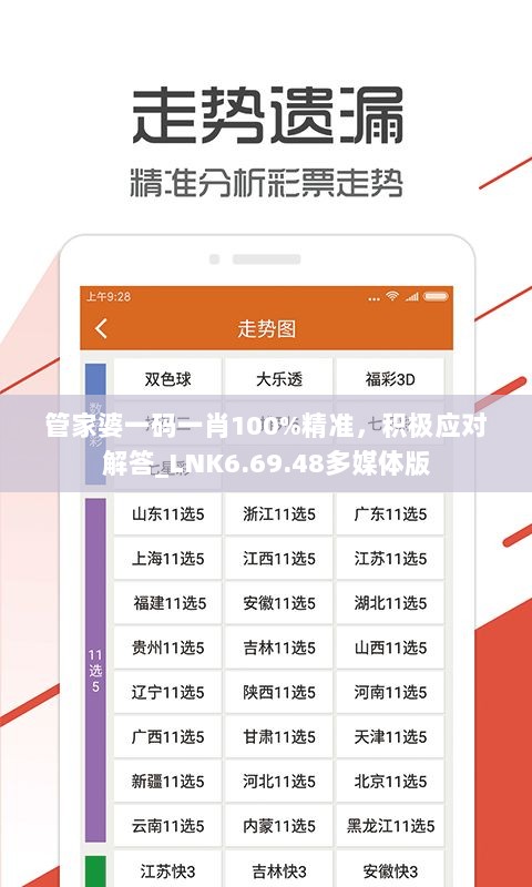 管家婆一码一肖100%精准，积极应对解答_LNK6.69.48多媒体版