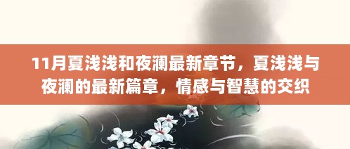 夏浅浅与夜澜，情感与智慧的最新篇章