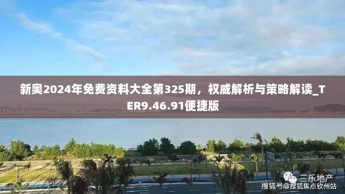 新奥2024年免费资料大全第325期，权威解析与策略解读_TER9.46.91便捷版