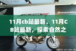 11月CB站自然探索之旅，寻找内心平静与自然之美