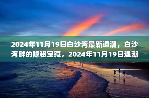 2024年11月19日白沙湾退潮奇遇记，隐秘宝藏的揭秘时刻