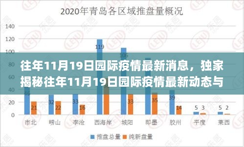 往年11月19日园际疫情最新动态与隐藏在小巷的神秘小店揭秘