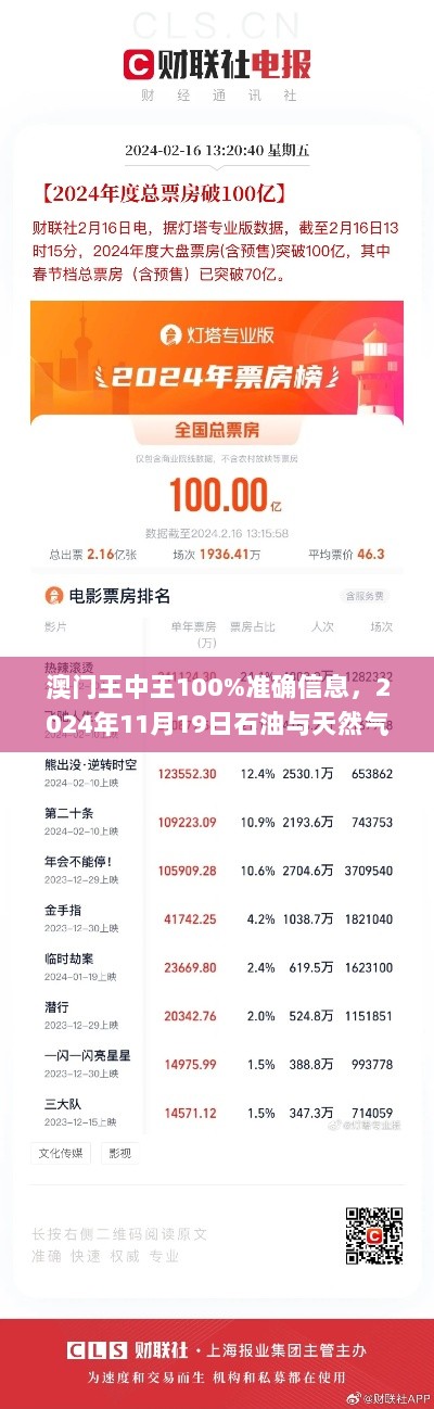 澳门王中王100%准确信息，2024年11月19日石油与天然气工程_OYY5.55.95版本发布