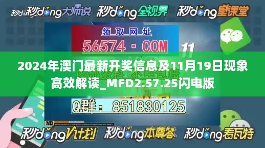 2024年11月20日 第121页