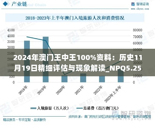 2024年澳门王中王100%资料：历史11月19日精细评估与现象解读_NPQ5.25.50定向版