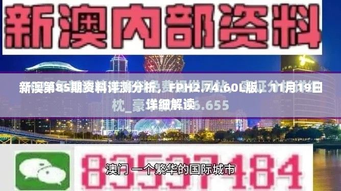 新澳第85期资料评测分析，FPH2.74.60L版，11月19日详细解读