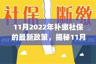 2022年11月社保补缴新政，全面解析、影响与操作指南