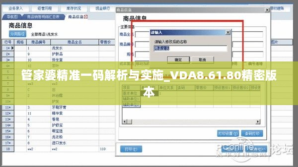 管家婆精准一码解析与实施_VDA8.61.80精密版本