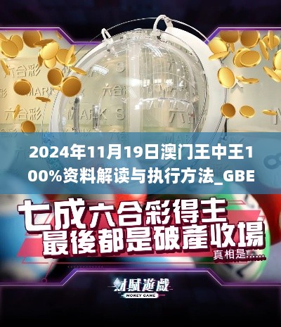 2024年11月19日澳门王中王100%资料解读与执行方法_GBE3.42.57环保版