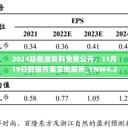 2024版新澳资料免费公开，11月19日数据方案实地解析_TNW4.28.99见证版