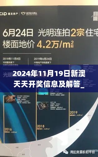 2024年11月19日新澳天天开奖信息及解答_DII9.14.69版本同步发布