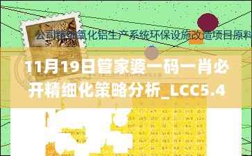 11月19日管家婆一码一肖必开精细化策略分析_LCC5.40.85温馨版