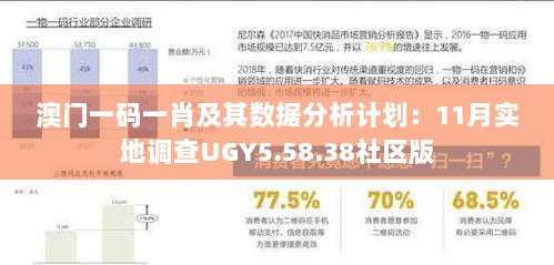 澳门一码一肖及其数据分析计划：11月实地调查UGY5.58.38社区版