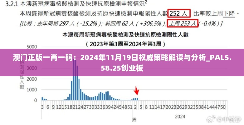 澳门正版一肖一码：2024年11月19日权威策略解读与分析_PAL5.58.25创业板