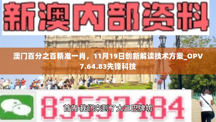 澳门百分之百精准一肖，11月19日创新解读技术方案_OPV7.64.83先锋科技