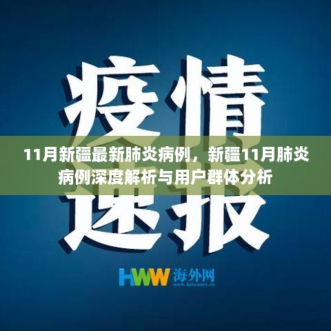 11月新疆最新肺炎病例深度解析与用户群体分析