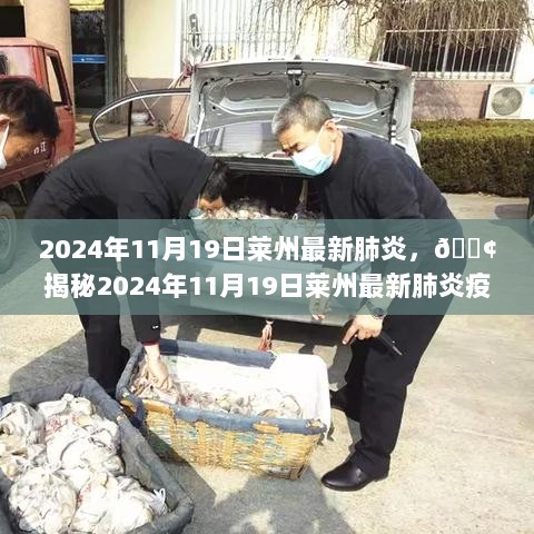 2024年11月19日莱州最新肺炎疫情全面防护的揭秘与共克时艰