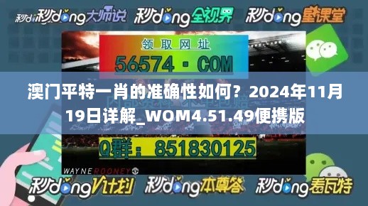 澳门平特一肖的准确性如何？2024年11月19日详解_WOM4.51.49便携版