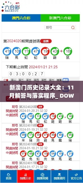 新澳门历史记录大全：11月解答与落实程序_ DOW3.31.48旗舰版