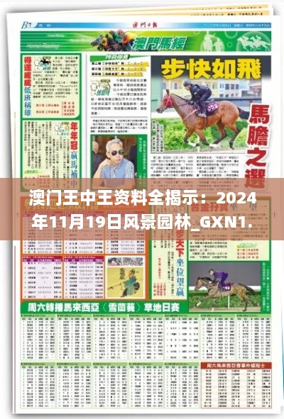 澳门王中王资料全揭示：2024年11月19日风景园林_GXN1.21.88智力版