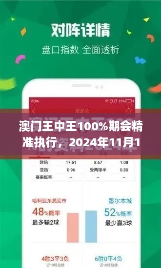 澳门王中王100%期会精准执行，2024年11月19日UHG9.54.78特别版计划