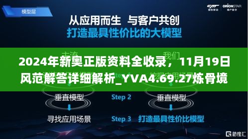 2024年新奥正版资料全收录，11月19日风范解答详细解析_YVA4.69.27炼骨境