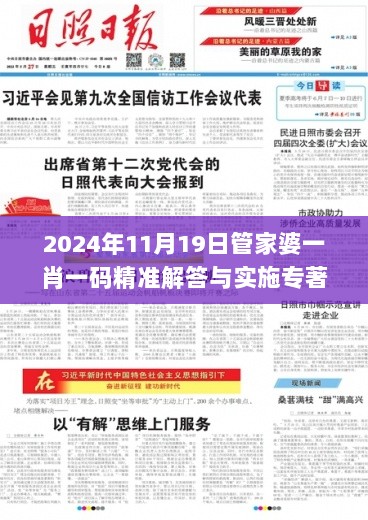 2024年11月19日管家婆一肖一码精准解答与实施专著_ERY2.28.79定制版