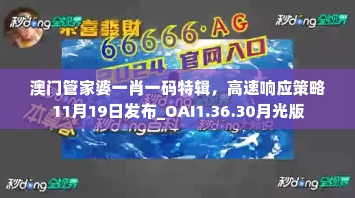 澳门管家婆一肖一码特辑，高速响应策略11月19日发布_OAI1.36.30月光版