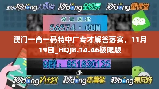 澳门一肖一码特中厂专才解答落实，11月19日_HQJ8.14.46极限版