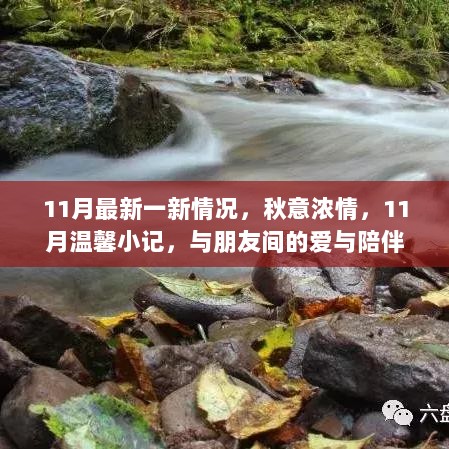 11月秋意浓情，爱与陪伴的温馨小记