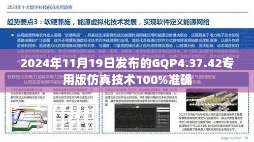 2024年11月19日发布的GQP4.37.42专用版仿真技术100%准确