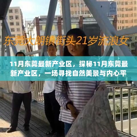 11月东莞最新产业区探秘之旅，自然美景与内心平静的寻觅