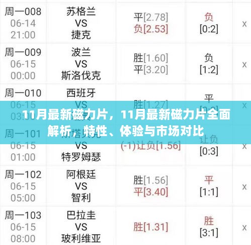 11月磁力片全面解析，特性、体验与市场对比