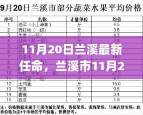 11月20日兰溪市最新任命任务完成步骤指南