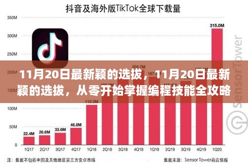 11月20日全新编程技能选拔，从零开始全攻略