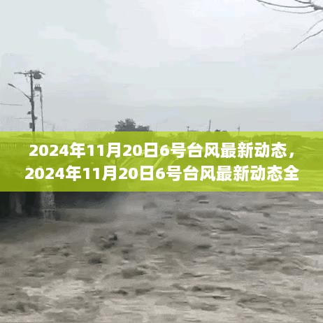 2024年11月20日6号台风最新动态全面解析