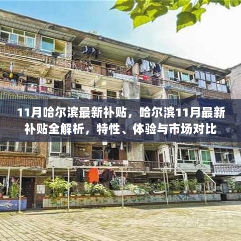 哈尔滨11月最新补贴全解析，特性、体验与市场对比