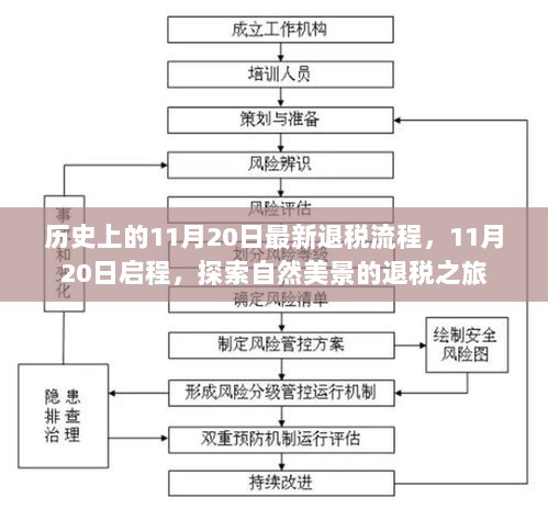 11月20日启程，探索自然美景的退税之旅，了解最新退税流程