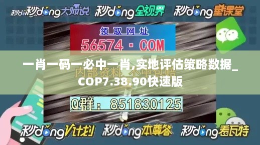 一肖一码一必中一肖,实地评估策略数据_COP7.38.90快速版