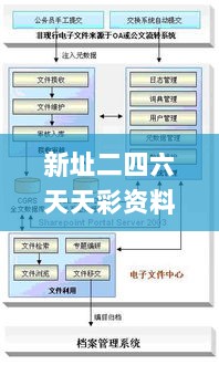 新址二四六天天彩资料246,精细分析解答解释路径_YBA8.65.44迅捷版