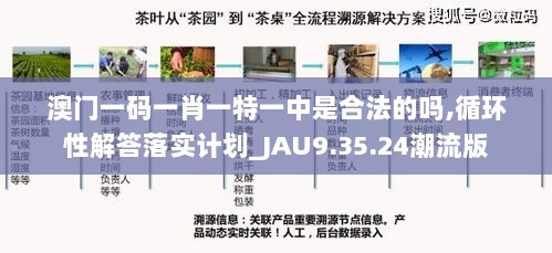 澳门一码一肖一特一中是合法的吗,循环性解答落实计划_JAU9.35.24潮流版