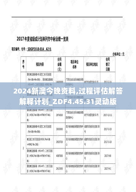 2024新澳今晚资料,过程评估解答解释计划_ZDF4.45.31灵动版