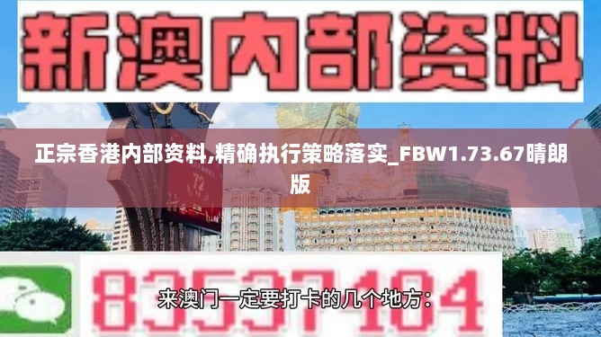 正宗香港内部资料,精确执行策略落实_FBW1.73.67晴朗版