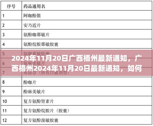 2024年11月20日广西梧州最新烹饪河粉技能学习指南